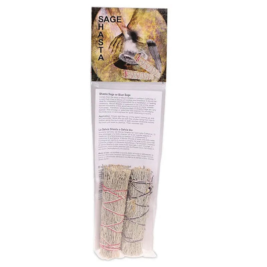 Sauge Shasta Smudge par 2