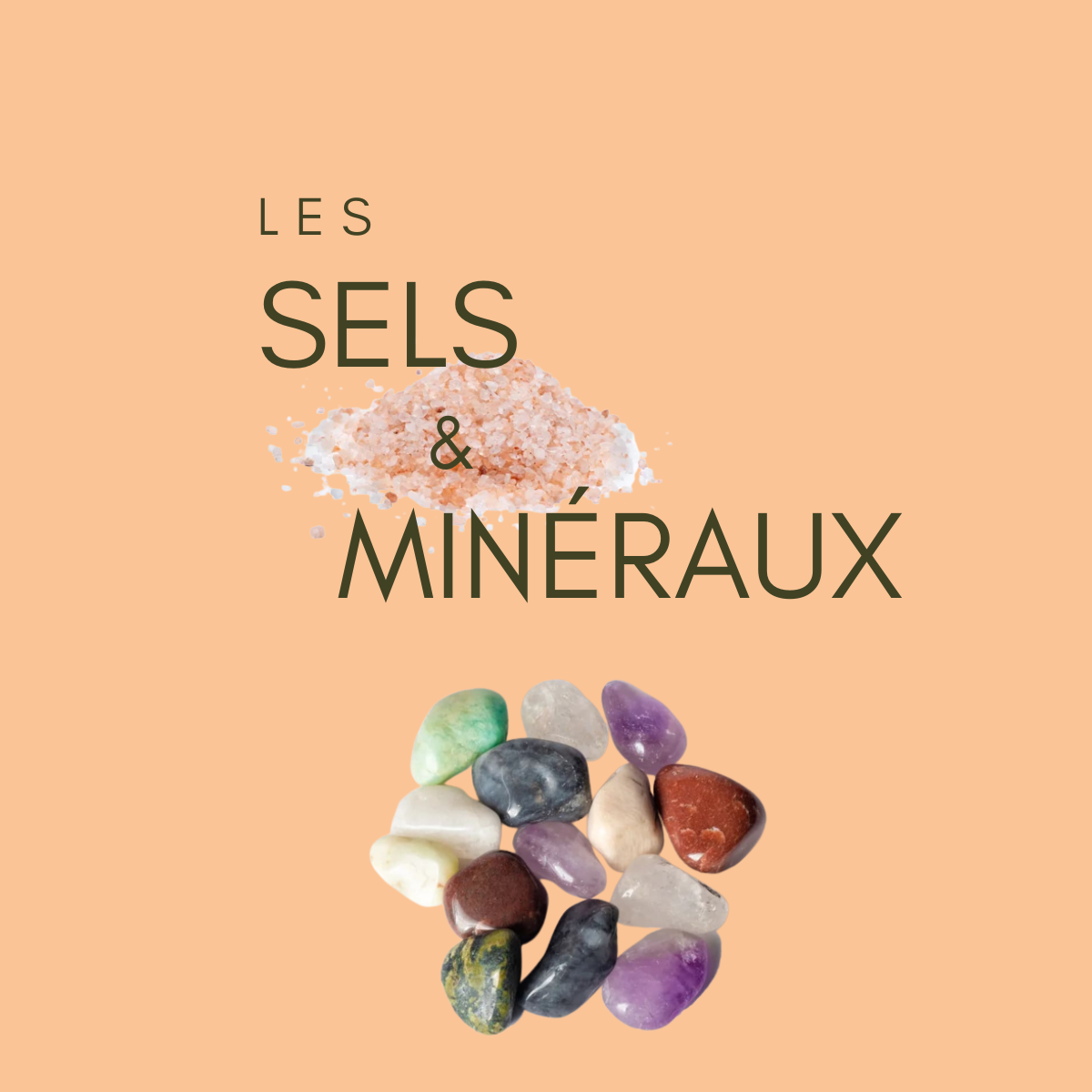 Les sels & minéraux