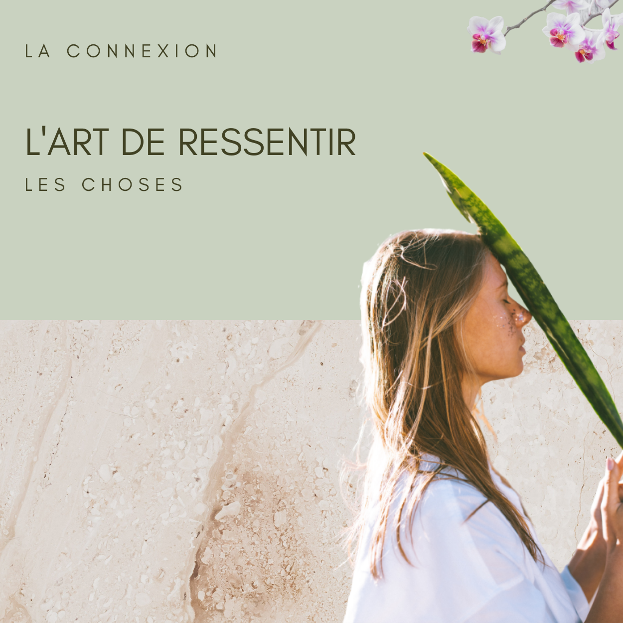 Le clair ressenti (bientôt disponible)