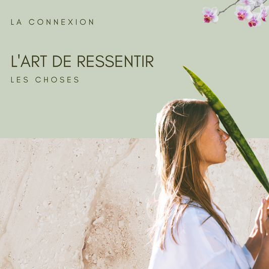 Le clair ressenti (bientôt disponible)